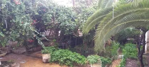 Vente Terrain Alger Hussein dey