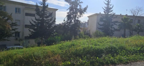 Location Appartement Alger Kouba