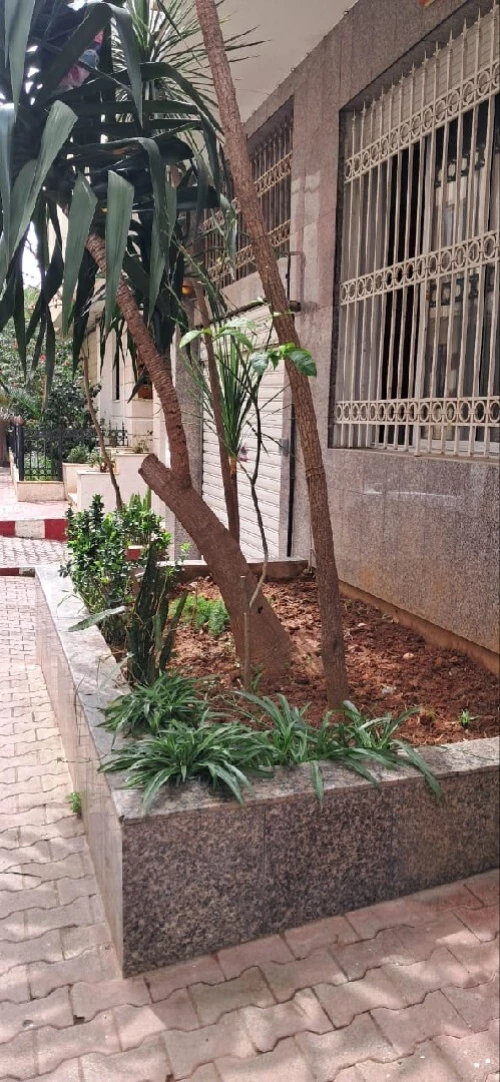Vente Local Alger Hydra