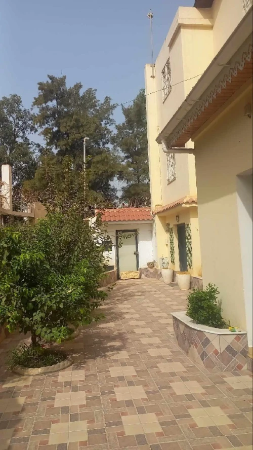 Vente Villa Alger Kouba