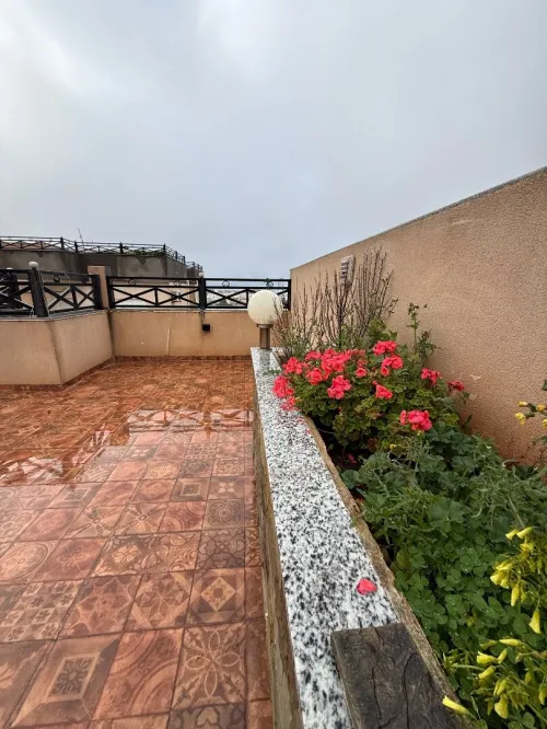 Location Appartement F5 Alger Cheraga