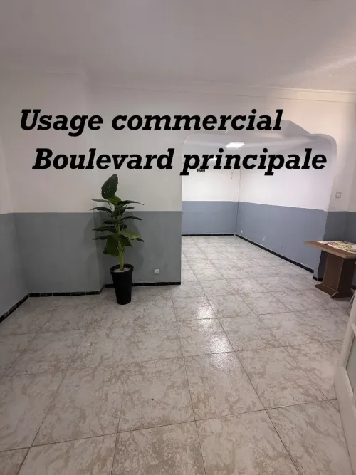 Location Appartement F3 Alger El biar