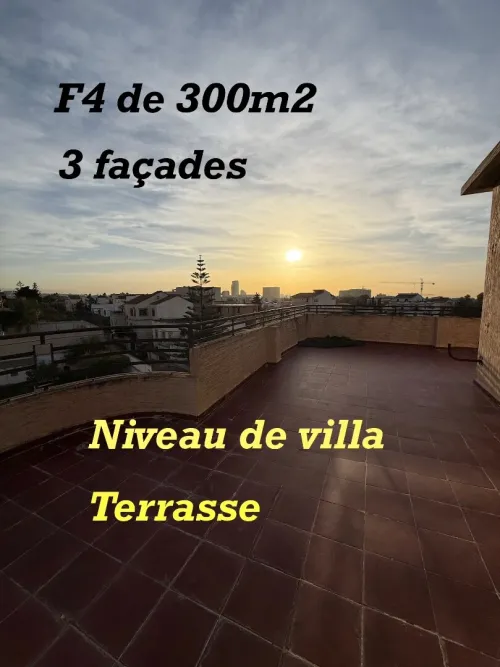 Location Appartement F4 Alger Cheraga