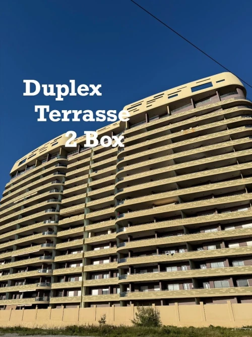 Vente Appartement Duplex Alger Dely brahim