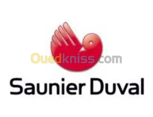 Réparation chaudière saunier Duval 