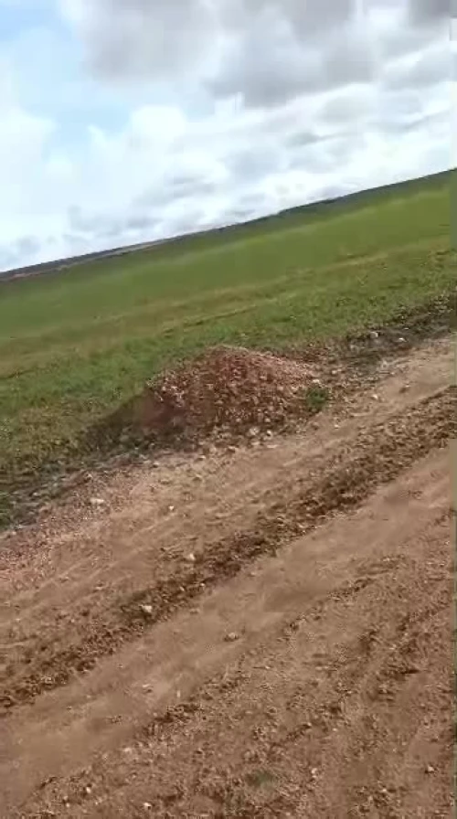 Location Terrain Agricole Djelfa Birine