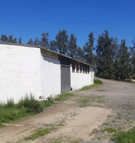 Location Hangar - Usine Tizi Ouzou Tirmitine