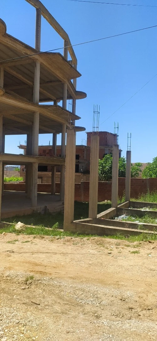 Vente Villa El Tarf Ain el assel