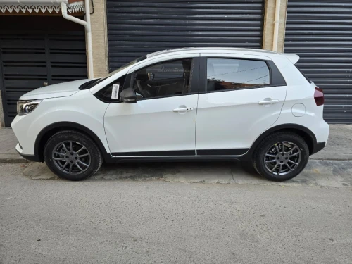 Livan X3 Pro  2026 Automatique (Avec toi ouvrant )