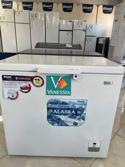 Congélateur marque géant 260L couleur blanc