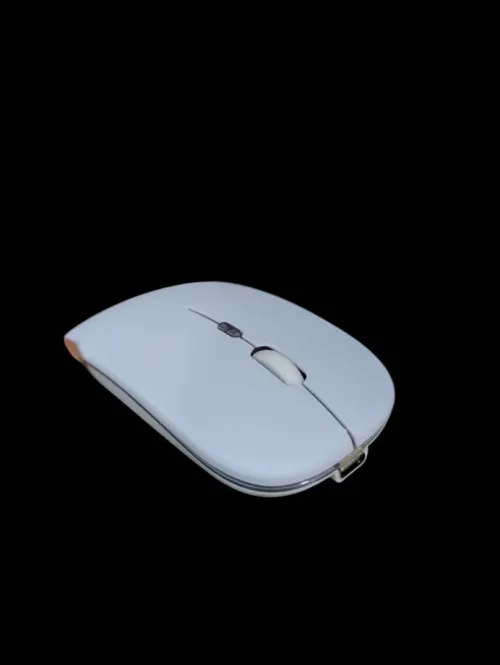 Souris Sans Fils bluetooth + USB