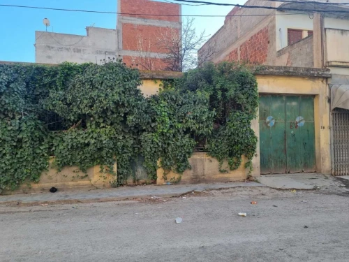 Vente Villa Sétif El eulma