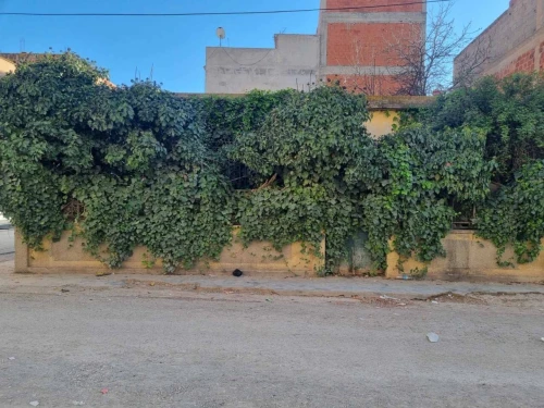 Vente Villa Sétif El eulma