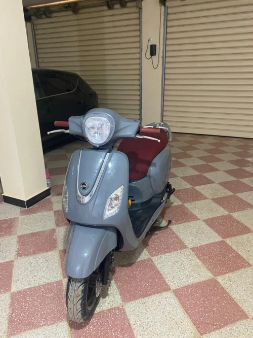 Sym Fiddel 3 2024