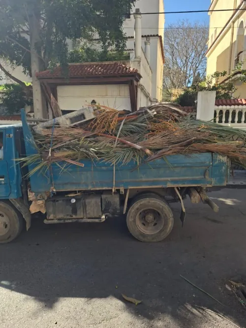 Nettoyage des jardins et abattage et elagage des arbres