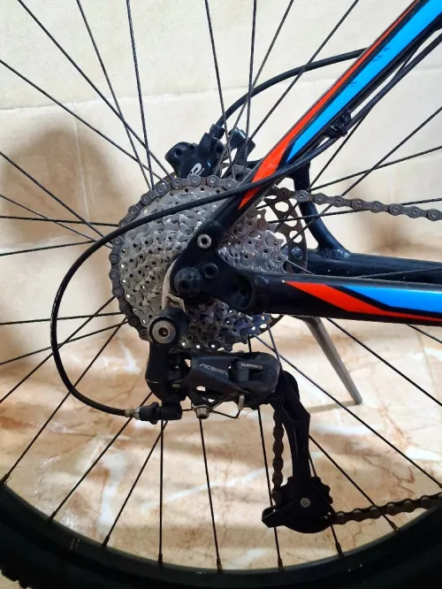 SPECIALIZED