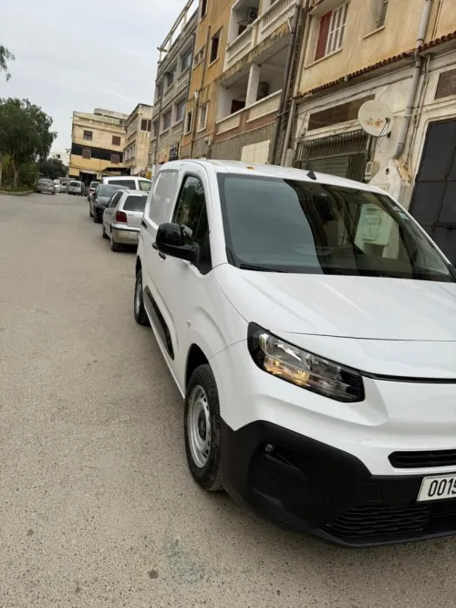 Fiat Doblo Van 2025 