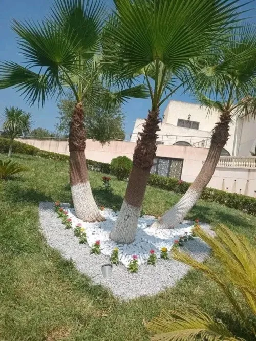 decoration des jardin