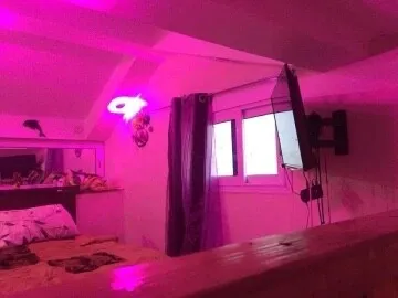 Location Appartement Studio Alger Alger centre