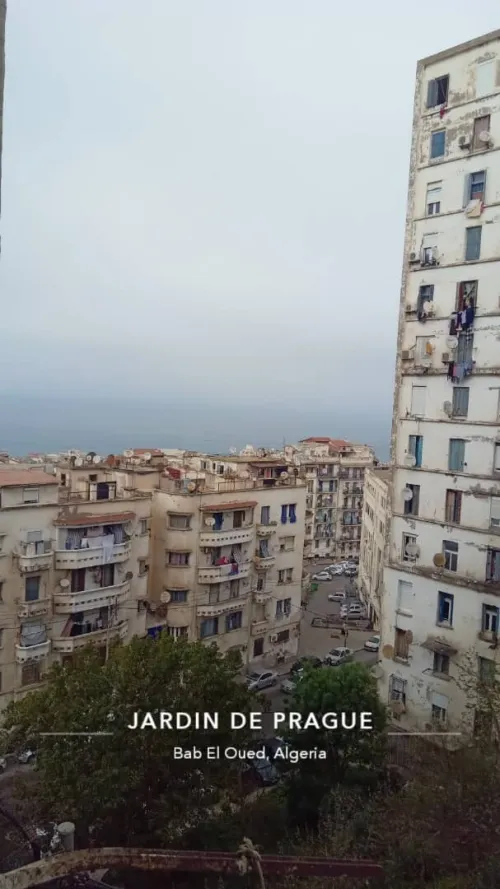 Vente Bungalow F2 Alger Bab el oued