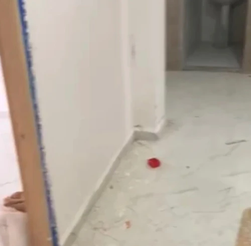 Location Appartement Niveau de villa F3 Alger Bab ezzouar