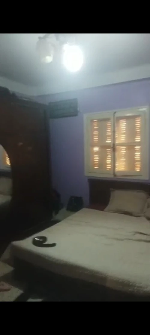 Location Appartement F2 Alger Birkhadem
