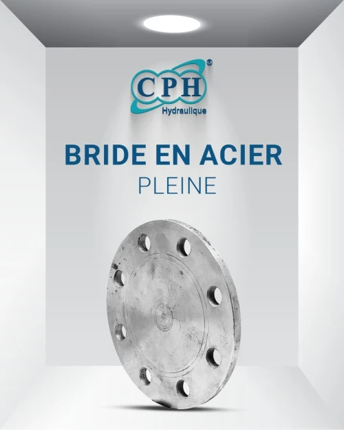 BRIDE EN ACIER PLEINE / FILTÉE / PLATE / À COLLERETTE