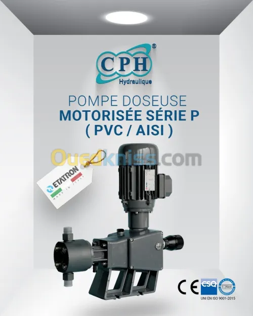 POMPE DOSEUSE MOTORISÉE SÉRIE P ( PVC / AISI ) 