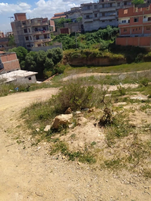 Vente Terrain Alger Saoula