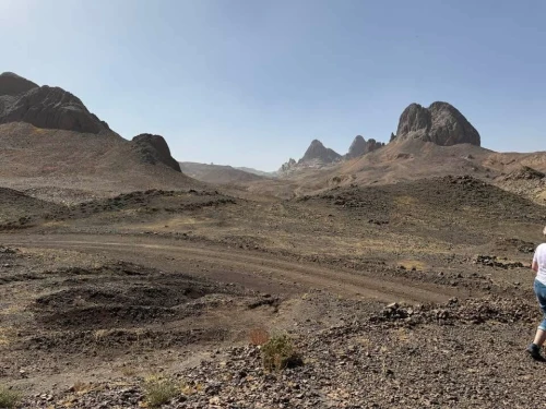 Location Appartement F3 Tamanrasset Tamanrasset