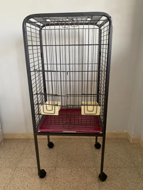 Cage perroquet