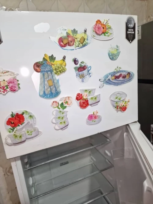 Frigidaire 540 L