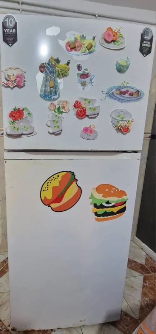 Frigidaire 540 L
