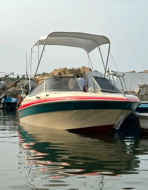 Vente Bateau canadien longueur 5metre moteur 75chv mariner mercurey 2 temps très très propre 
