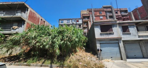 Vente Terrain Jijel Jijel