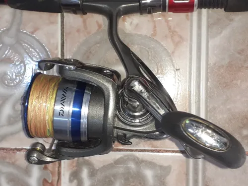 Canne a pêche pourspining DAIWA en  carbon 