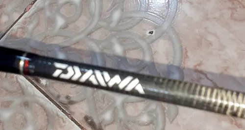 Canne a pêche pourspining DAIWA en  carbon 