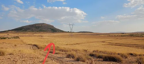 Vente Terrain Agricole Khenchela Baghai