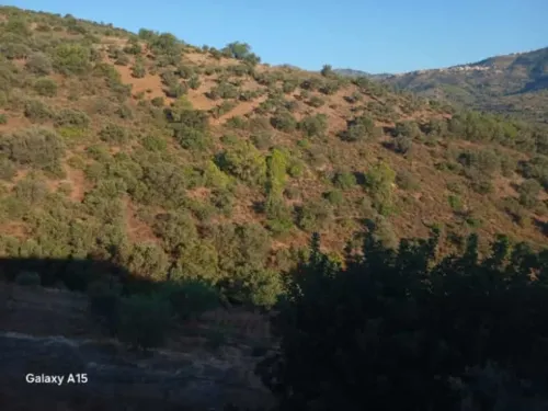 Vente Terrain Agricole Béjaïa Sidi aich