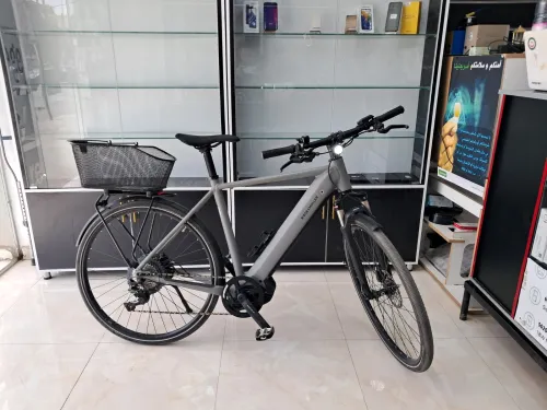 Riese & Müller Roadster 