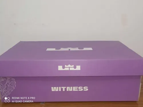 Nike lebron witness 8 p(43)