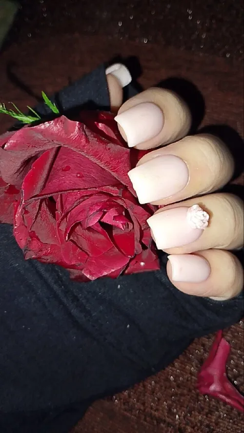 press on nails