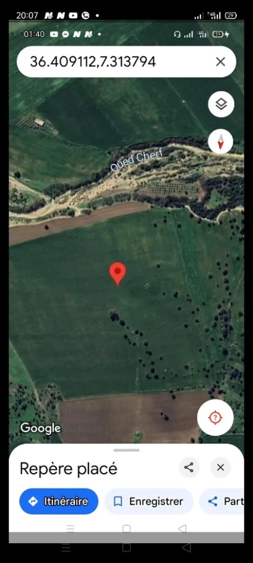 Vente Terrain Agricole Guelma Medjez amar