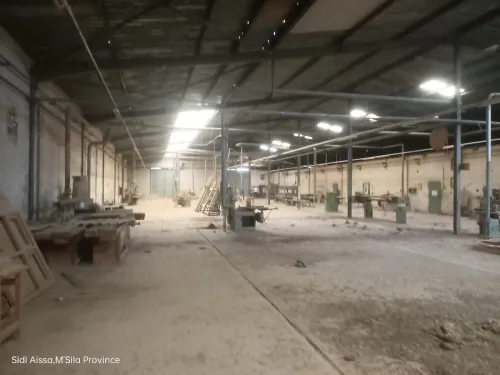 Vente Hangar M'Sila Sidi ameur