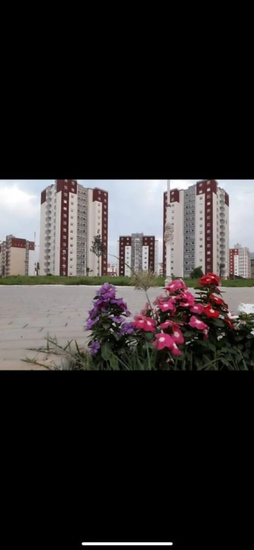 Vente Appartement F3 Blida Bouinan