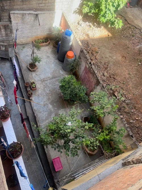 Location Appartement F3 Alger Birkhadem