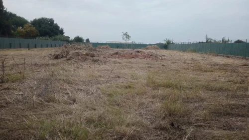 Location Terrain Alger Rouiba