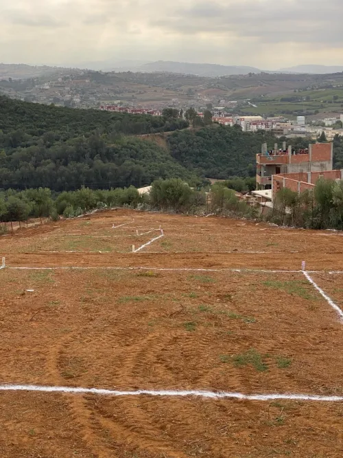 Vente Terrain Boumerdès El kharrouba