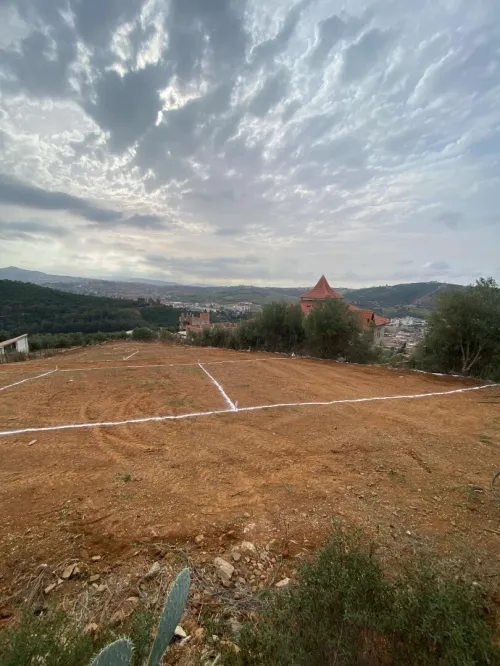 Vente Terrain Boumerdès El kharrouba