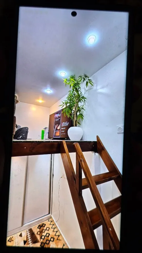 Vente Appartement Studio Alger Bab el oued
